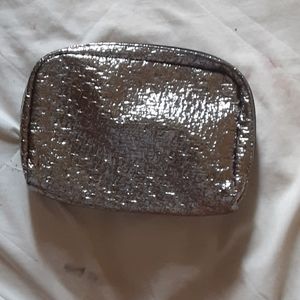 Silver Colored Makeup Bag
